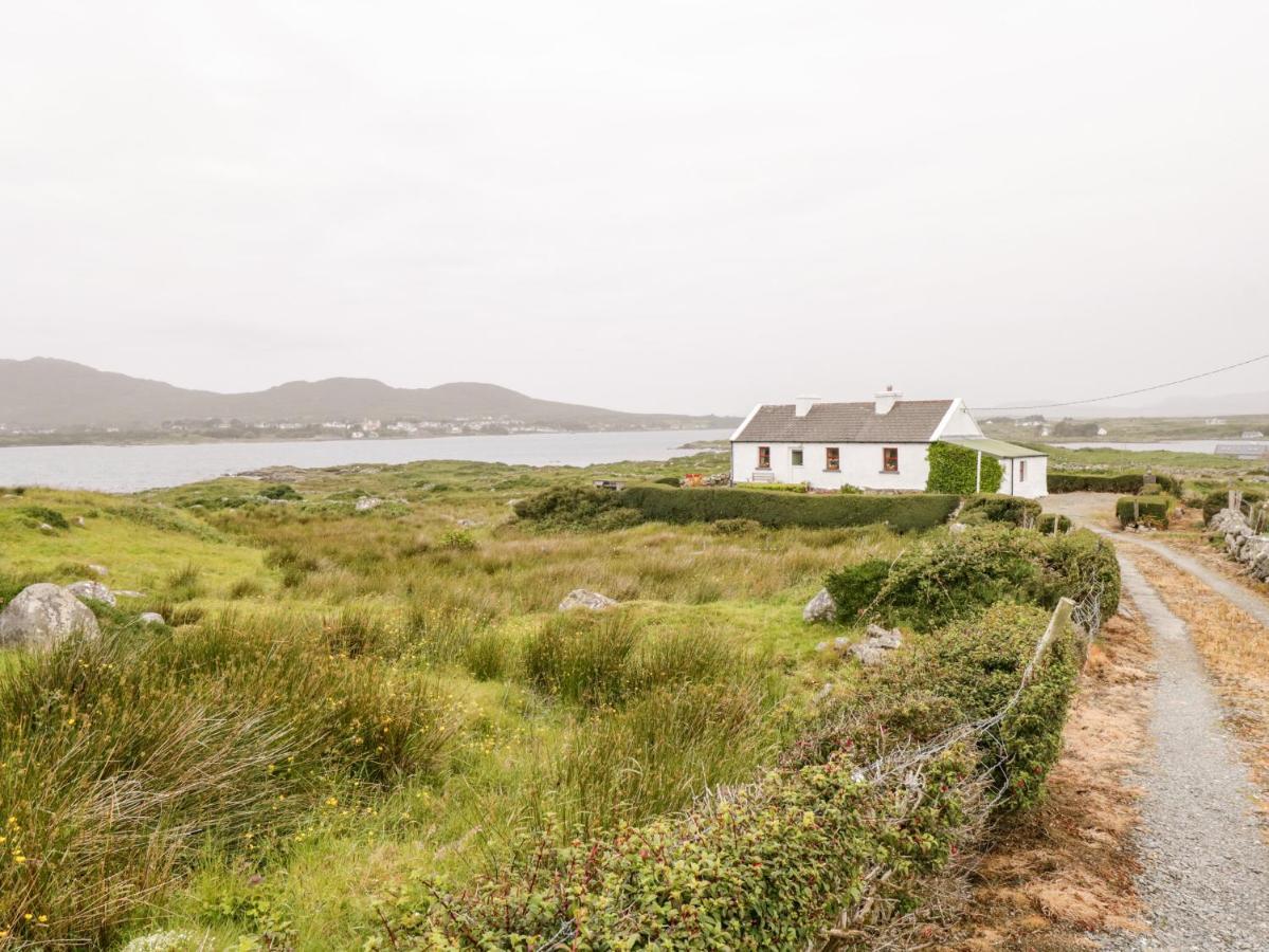 The White House Villa Roundstone Bagian luar foto