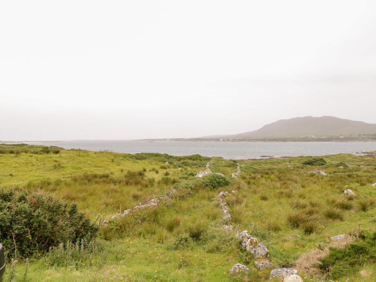 The White House Villa Roundstone Bagian luar foto